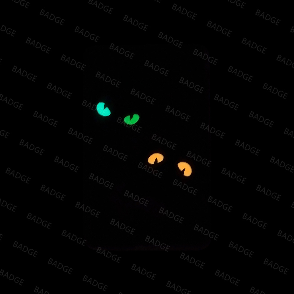 Glow in The Dark Patches Cat D - Hook Eye Fastener 评论和价格